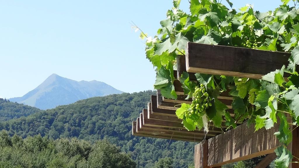 Gites Pyrenees Les Trois Montagnes Ganties Zimmer foto